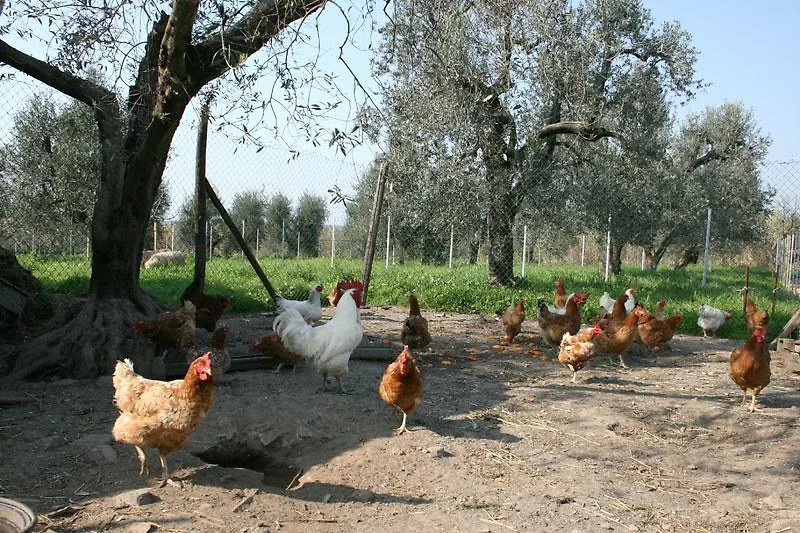 Farm stay Podere Giovanni Castagneto Carducci